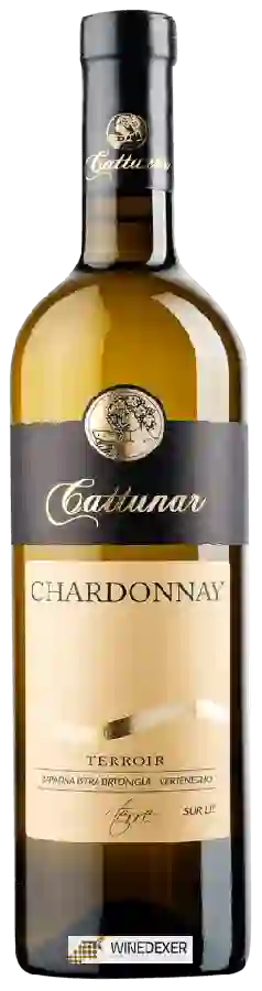 Weingut Vina Cattunar - Chardonnay Weingut Vina Cattunar - Chardonnay