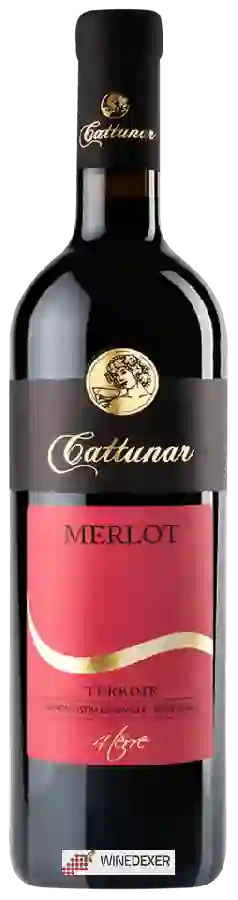 Weingut Vina Cattunar - Merlot