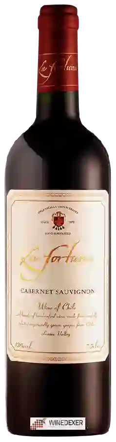 Weingut La Fortuna - Cabernet Sauvignon Weingut La Fortuna - Cabernet Sauvignon