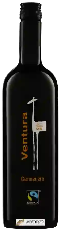 Weingut La Fortuna - Ventura Carménère Weingut La Fortuna - Ventura Carménère
