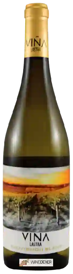 Weingut Viña Lastra - Sauvignon Blanc