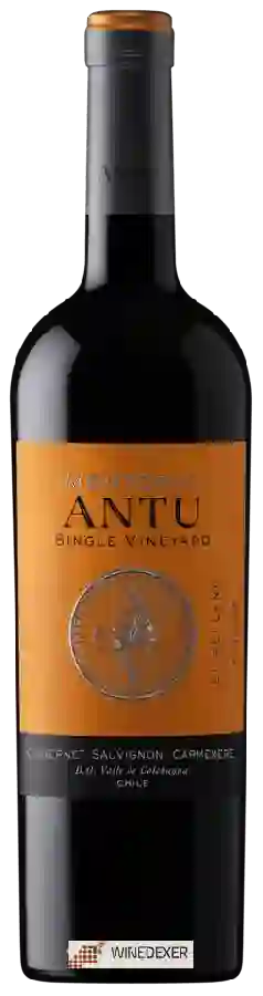 Weingut MontGras - Antu Cabernet Sauvignon - Carmenère Weingut MontGras - Antu Cabernet Sauvignon - Carmenère