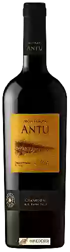 Weingut MontGras - Antu Carmenère