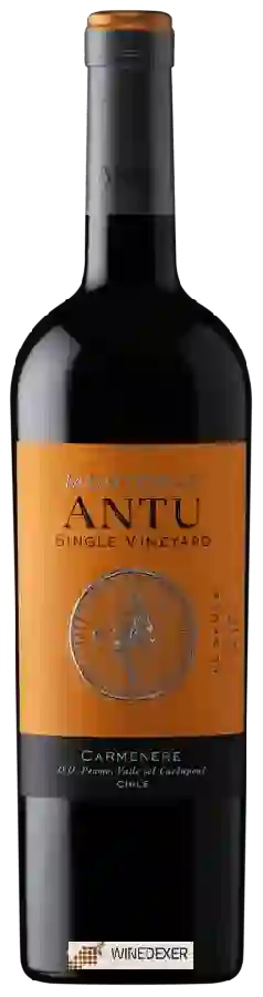Weingut MontGras - Antu Carmenère Weingut MontGras - Antu Carmenère