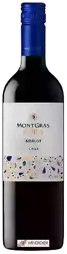 Weingut MontGras - Aura Merlot