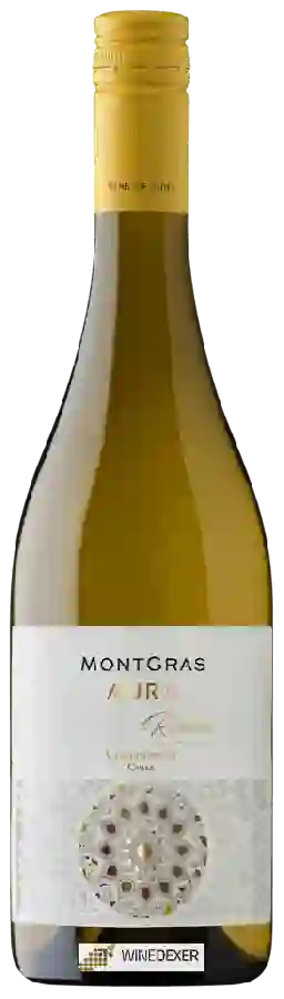 Weingut MontGras - Aura Reserva Chardonnay