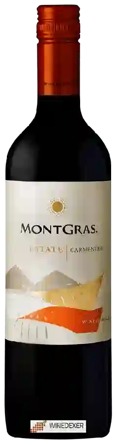 Weingut MontGras - Estate Carmenère