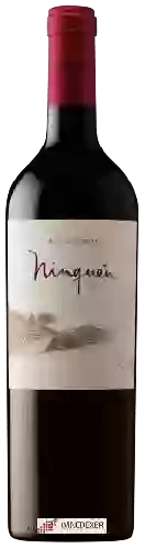 Weingut MontGras - Ninquén (Mountain Vineyard)