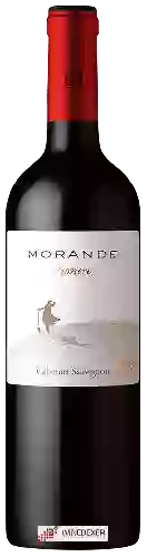Weingut Morandé - Pionero Cabernet Sauvignon