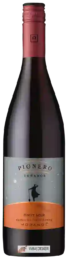 Weingut Morandé - Pionero Pinot Noir Weingut Morandé - Pionero Pinot Noir