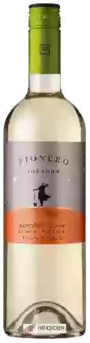Weingut Morandé - Pionero Sauvignon Blanc