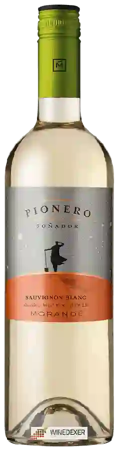 Weingut Morandé - Pionero Sauvignon Blanc