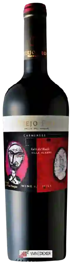 Weingut Viña Tinajas - Reserva Viejo Feo Carménère Weingut Viña Tinajas - Reserva Viejo Feo Carménère