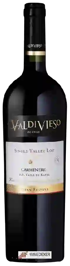 Weingut Valdivieso - Single Valley Lot Gran Reserva Carmenère