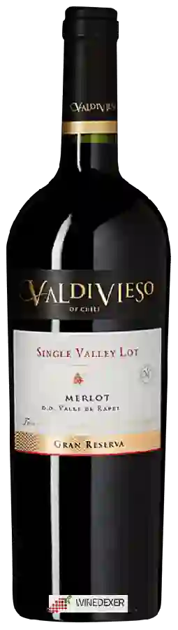Weingut Valdivieso - Single Valley Lot Gran Reserva Merlot