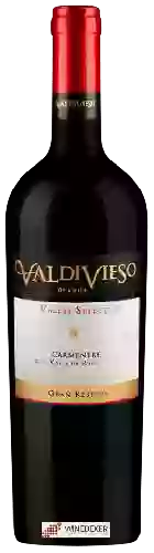 Weingut Valdivieso - Valley Selection Gran Reserva Carménère