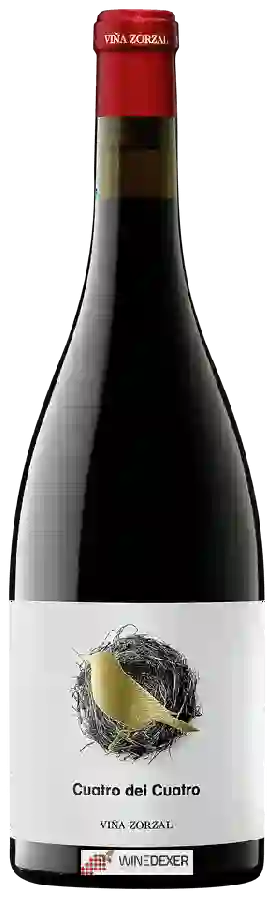 Weingut Viña Zorzal - Cuatro del Cuatro