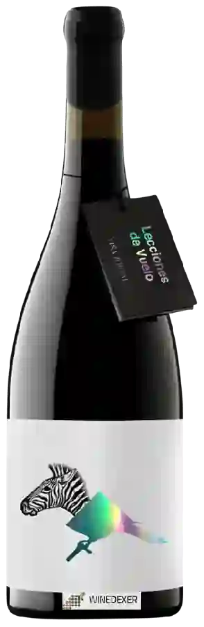 Weingut Viña Zorzal - Lecciones de Vuelo