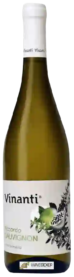 Weingut Vinanti - Accordo Sauvignon Weingut Vinanti - Accordo Sauvignon