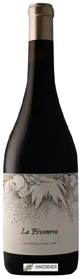 Weingut Viñas Serranas - La Pivonera Weingut Viñas Serranas - La Pivonera