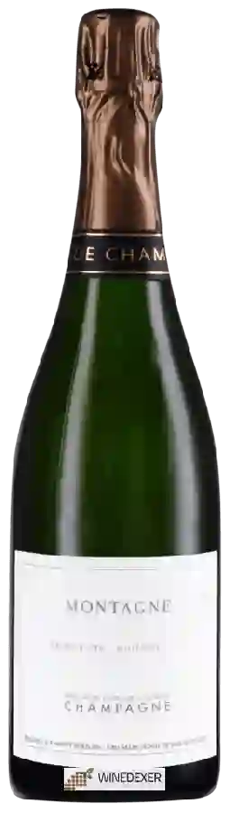 Weingut Raphaël et Vincent Bérêche - Montagne Millésimé Champagne Premier Cru