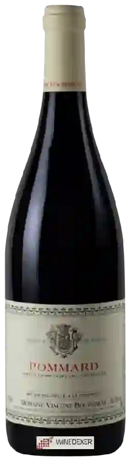 Weingut Vincent Bouzereau - Pommard