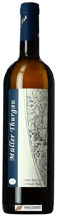 Weingut Vindimian Rudi - Müller Thurgau Weingut Vindimian Rudi - Müller Thurgau