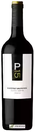 Weingut Malma - NQN - Cabernet Sauvignon Picada 15