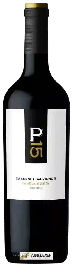 Weingut Malma - NQN - Cabernet Sauvignon Picada 15 Weingut Malma - NQN - Cabernet Sauvignon Picada 15