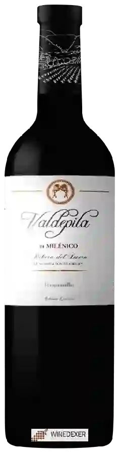 Weingut Viñedos Milénico - Valdepila Tempranillo Weingut Viñedos Milénico - Valdepila Tempranillo