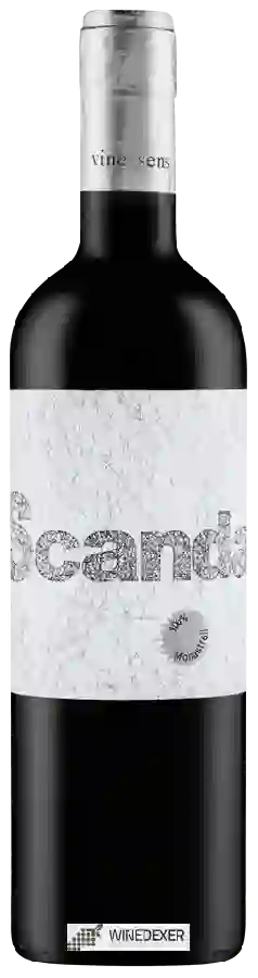 Weingut Vinessens - Casa Balaguer - Scandalo Weingut Vinessens - Casa Balaguer - Scandalo