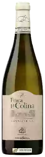 Weingut Vinos Sanz - Finca La Colina Sauvignon Blanc
