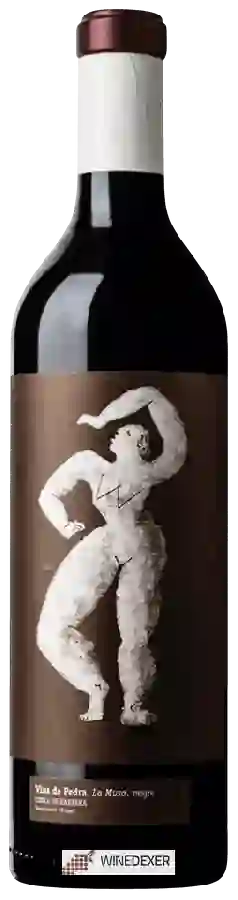 Weingut Vins de Pedra - La Musa Negre Weingut Vins de Pedra - La Musa Negre