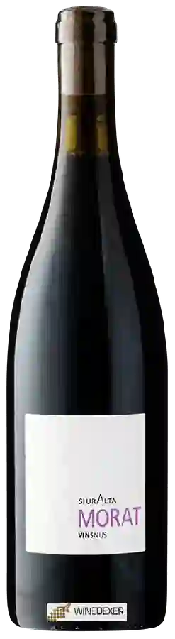 Weingut Vinsnus - SiurAlta Morat Weingut Vinsnus - SiurAlta Morat
