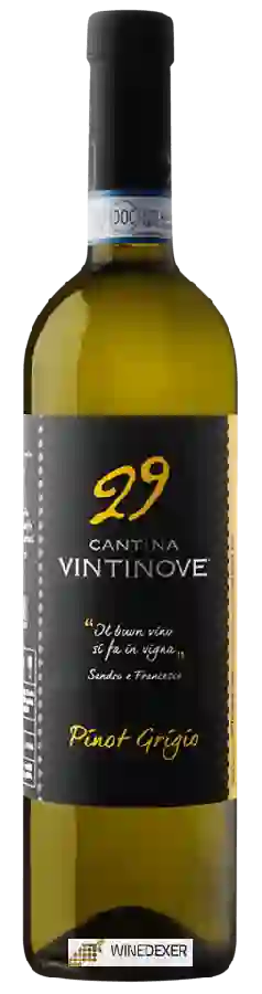 Weingut Vintinove - Pinot Grigio Weingut Vintinove - Pinot Grigio