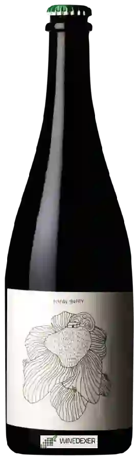 Weingut Vinyes Tortuga - Hurdy Gurdy Weingut Vinyes Tortuga - Hurdy Gurdy