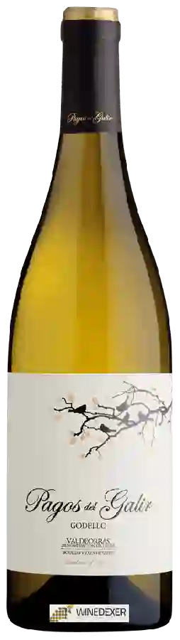 Bodegas Virxen de Galir - Pagos del Galir Godello