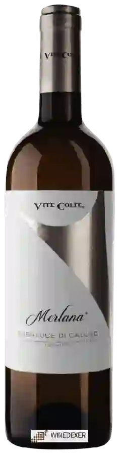 Weingut Vite Colte - Merlana Erbaluce di Caluso Weingut Vite Colte - Merlana Erbaluce di Caluso