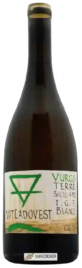 Weingut Viteadovest - Vurgo Bianco Weingut Viteadovest - Vurgo Bianco