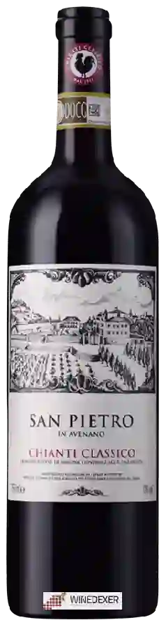 Weingut Montesenese - San Pietro in Avenano Chianti Classico