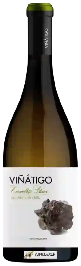 Weingut Viñátigo - Ensamblaje Blanco Weingut Viñátigo - Ensamblaje Blanco