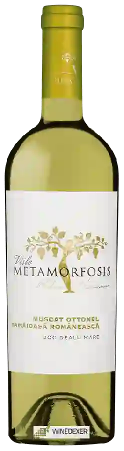 Weingut Vitis Metamorfosis - Viile Metamorfosis Muscat Ottonel - Tàmàioàsà Romàneascà