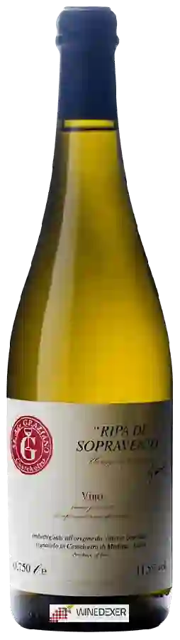 Weingut Vittorio Graziano - Ripa di Sopravento Weingut Vittorio Graziano - Ripa di Sopravento
