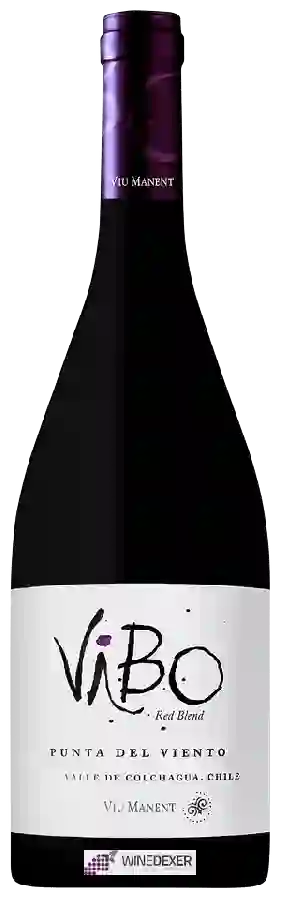 Weingut Viu Manent - ViBo Punta del Viento Weingut Viu Manent - ViBo Punta del Viento