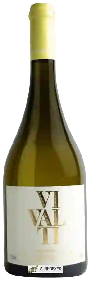 Weingut Vivalti - Alvarinho