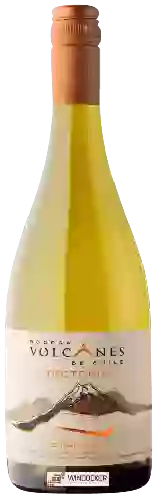 Weingut Volcanes - Tectonia Chardonnay