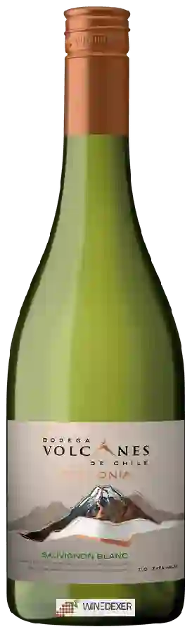 Weingut Volcanes - Tectonia Sauvignon Blanc