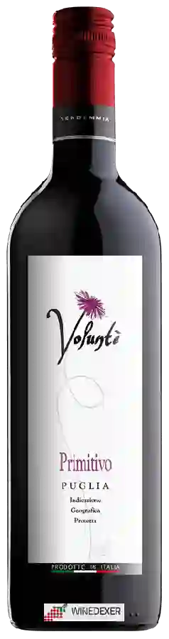 Weingut Voluntè - Primitivo