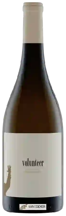 Weingut Volunteer - Chardonnay