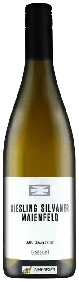 Weingut Von Salis - Maienfelder Riesling - Silvaner Weingut Von Salis - Maienfelder Riesling - Silvaner